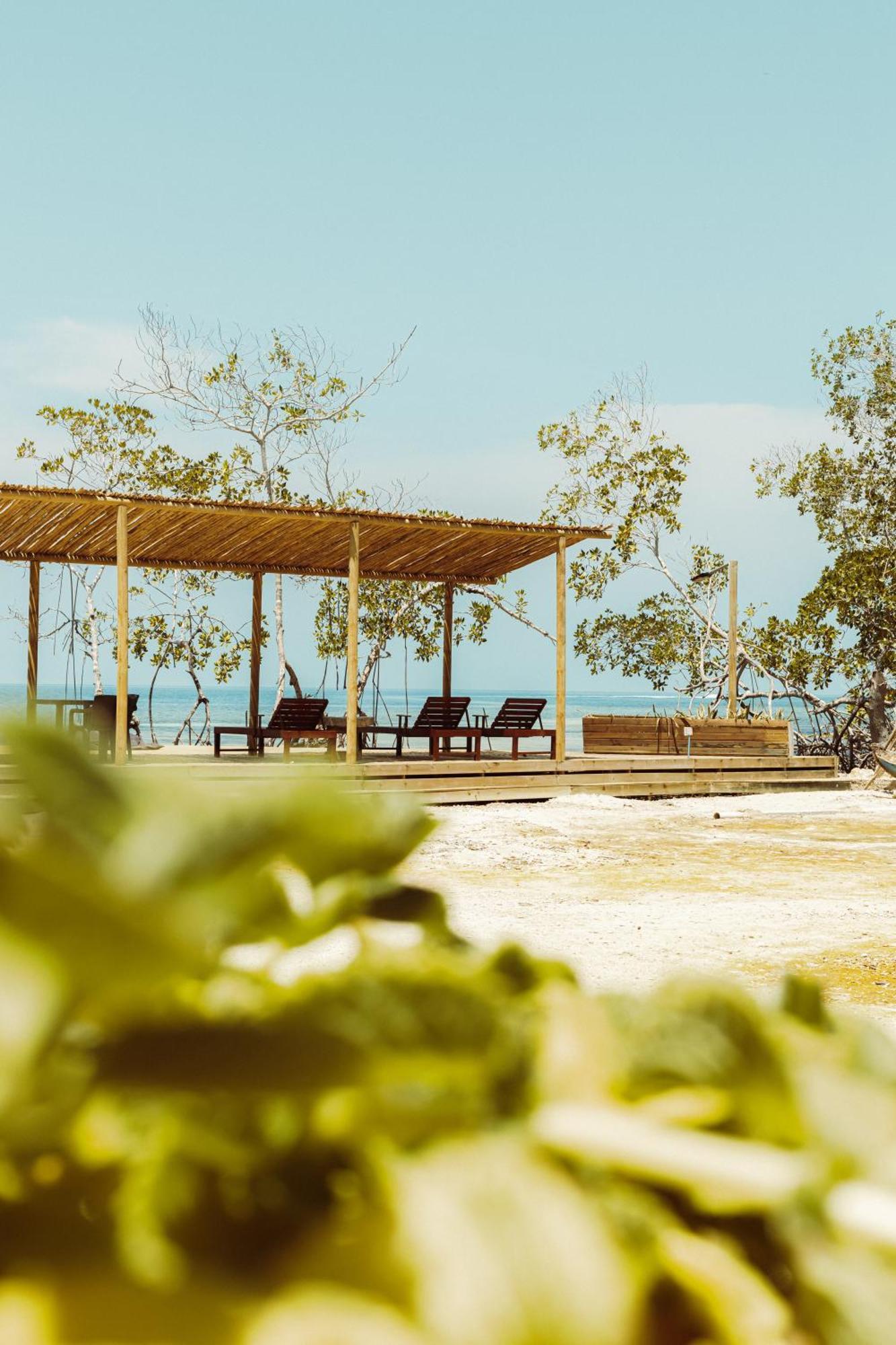 Medusa Hostel Isla Tintipan Tintipan Island Екстериор снимка