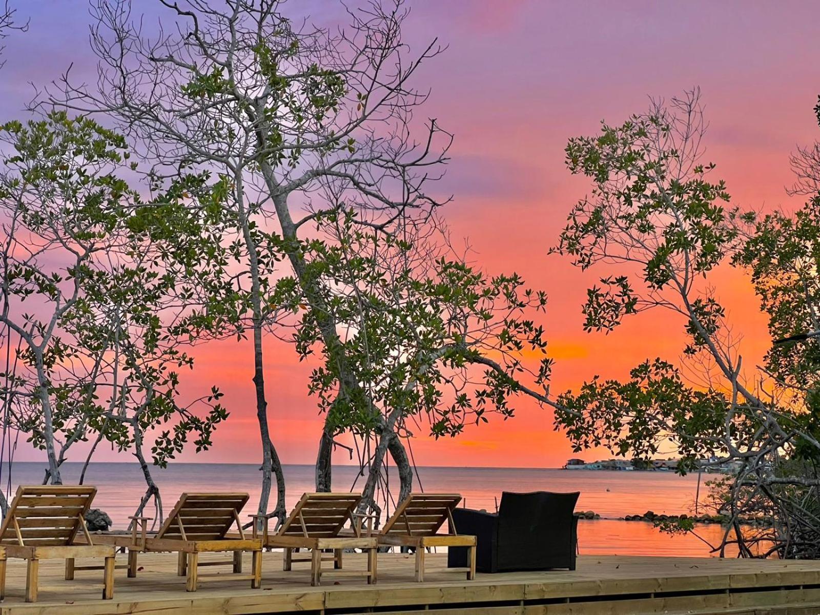 Medusa Hostel Isla Tintipan Tintipan Island Екстериор снимка